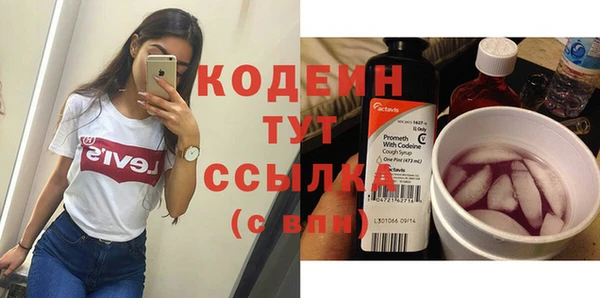 2c-b Бородино