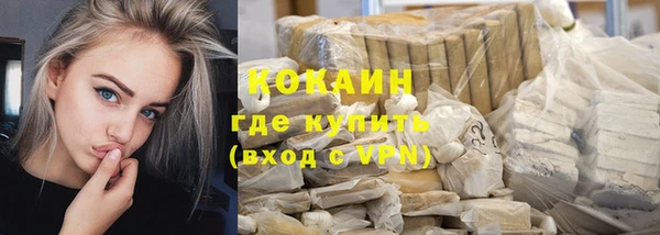 прущие грибы Бронницы