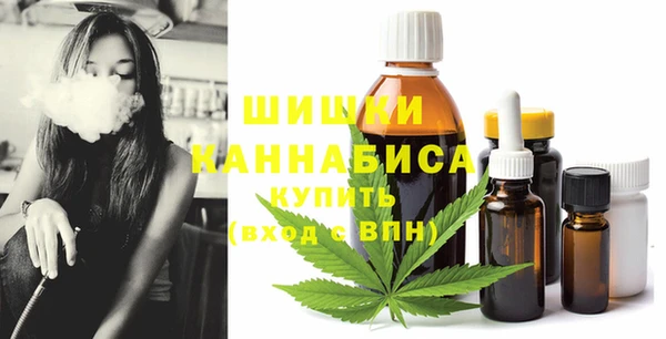 2c-b Бородино