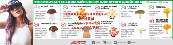 2c-b Бородино