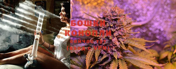 прущие грибы Бронницы