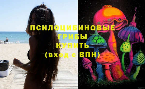 прущие грибы Бронницы