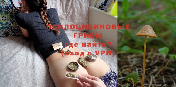 2c-b Бородино