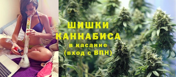 2c-b Бородино