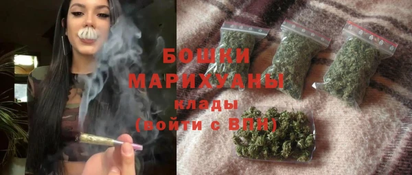 2c-b Бородино