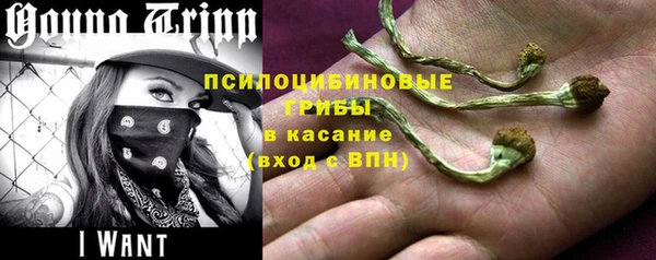 2c-b Бородино