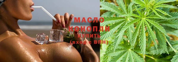 прущие грибы Бронницы