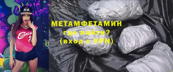 прущие грибы Бронницы